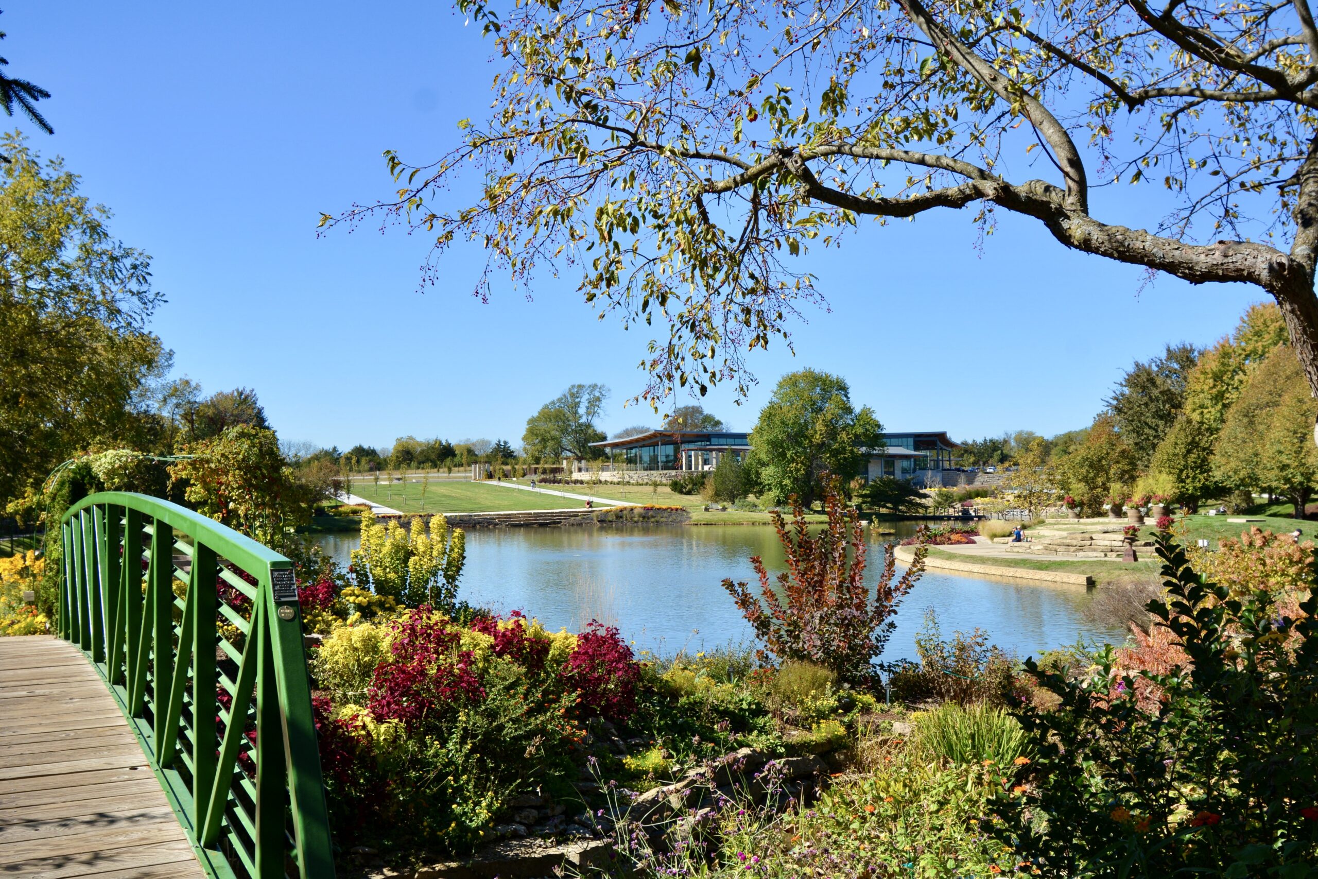 Large Pond Construction Project