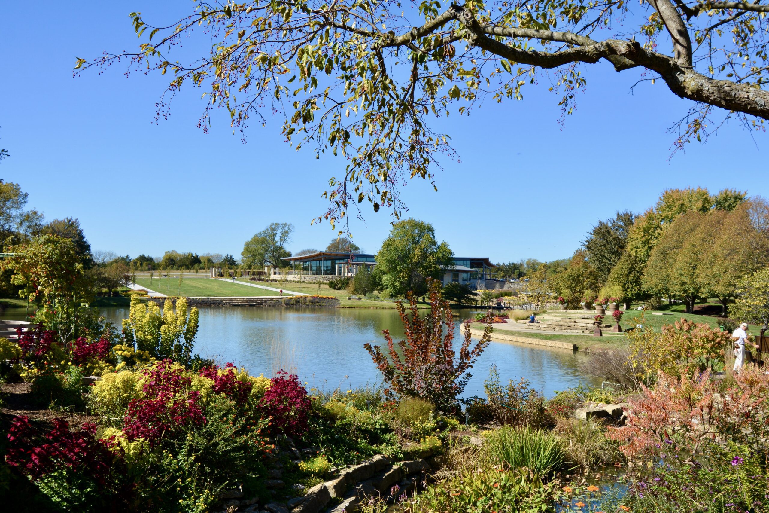 Large Pond Construction