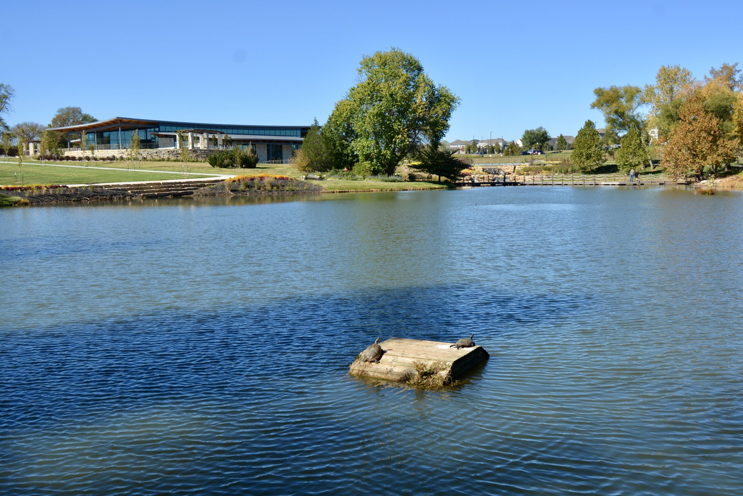 Large Pond Construction