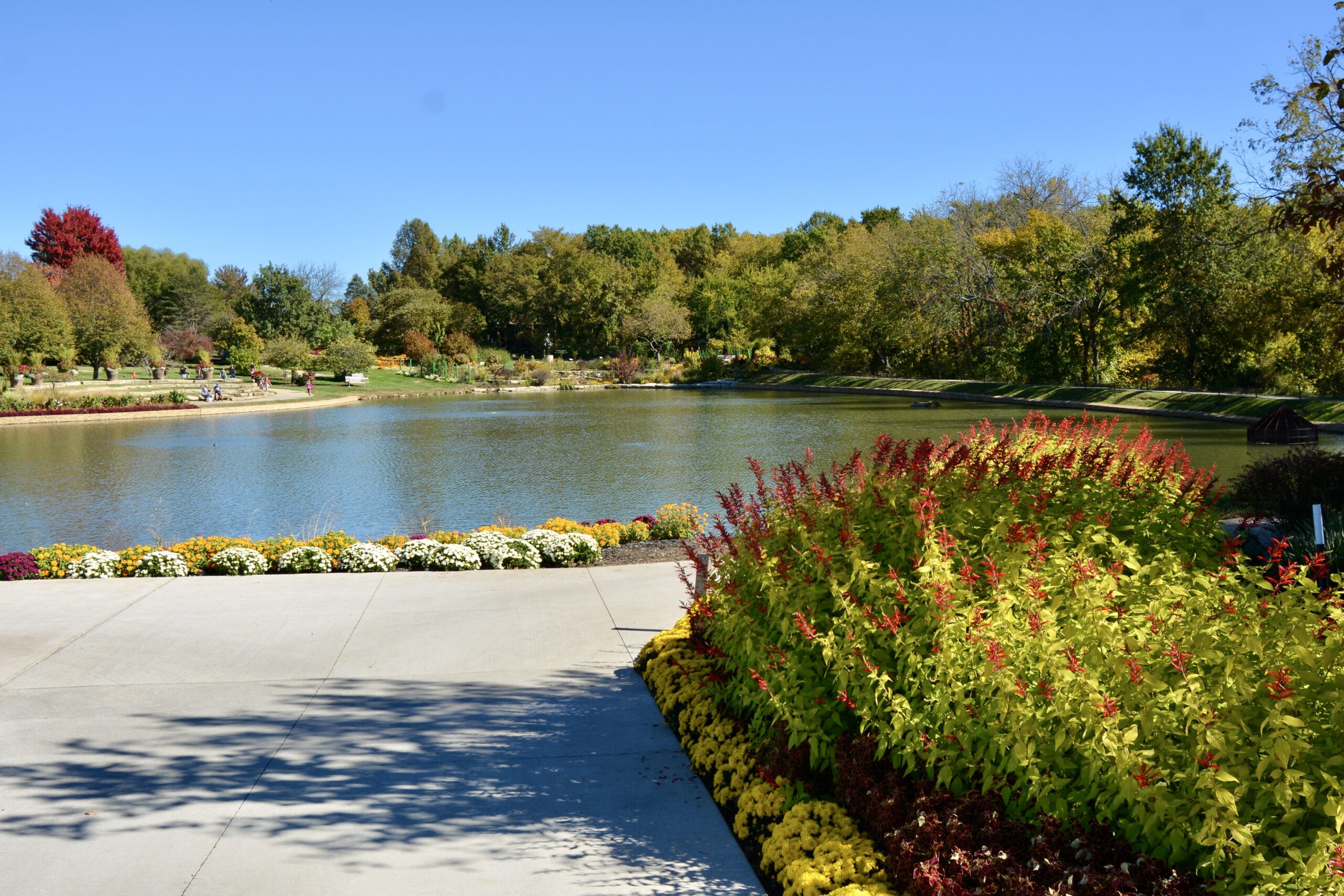 Large Pond Construction