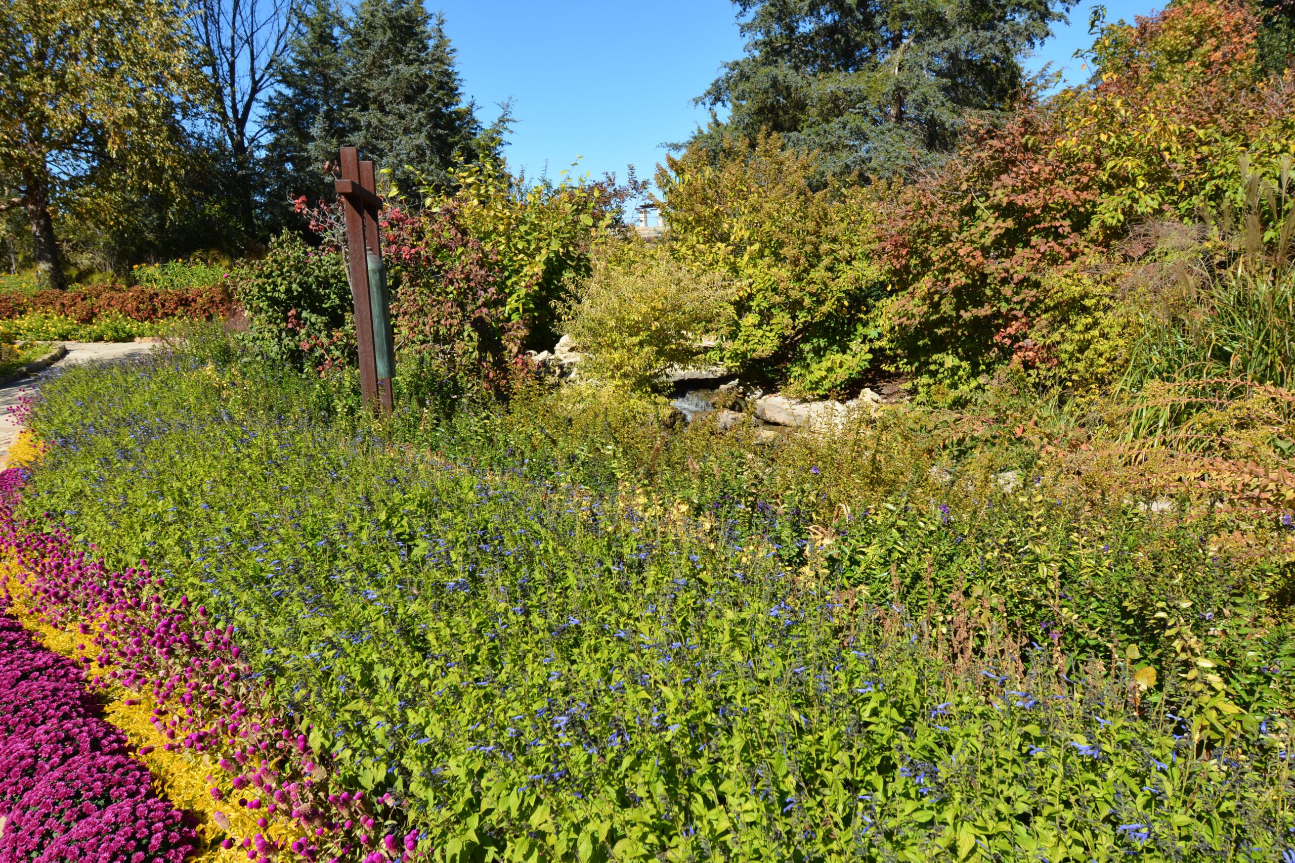 Beautiful Flowers On The Bank Of A Creek