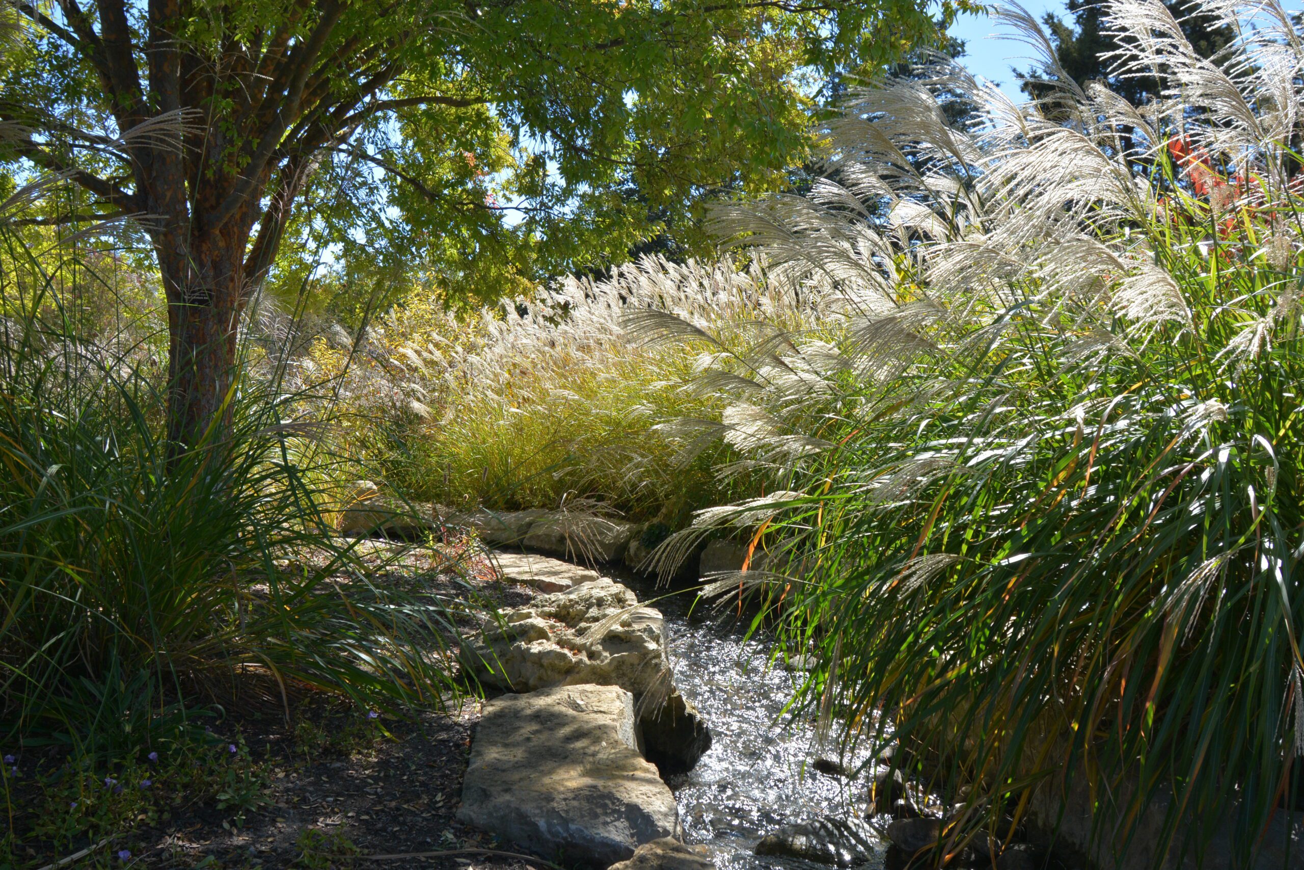 Beautiful Creek Installation