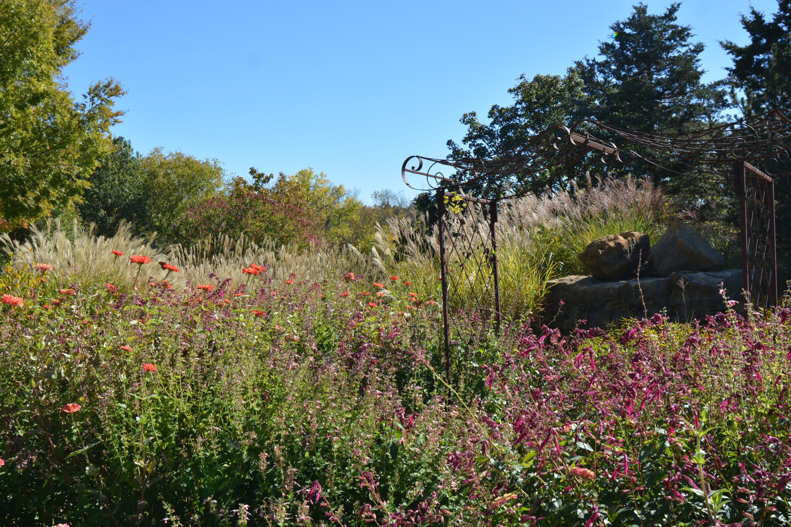 Beautiful Flowers On The Bank Of A Creek