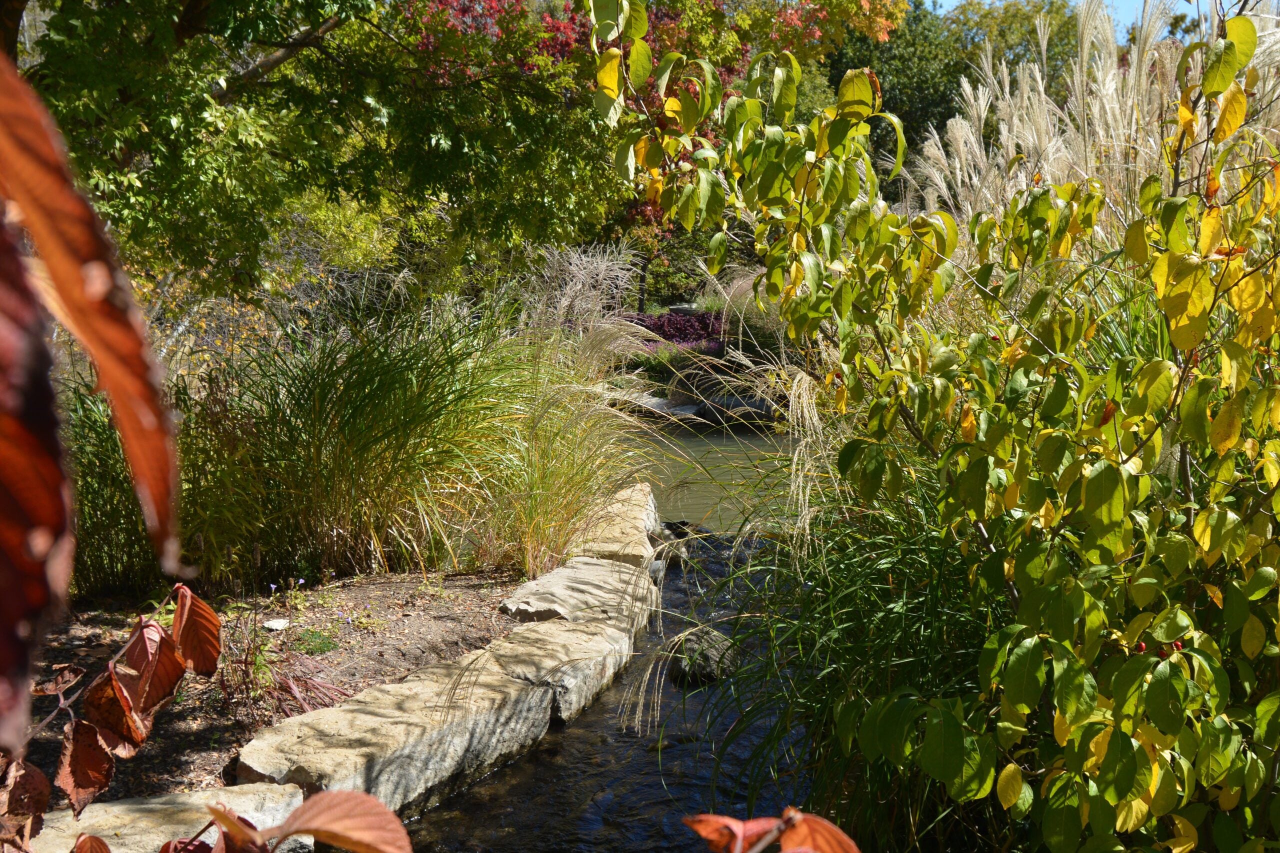 Lovely Creek - Bulletproof Pond and Lake Lovely Creek