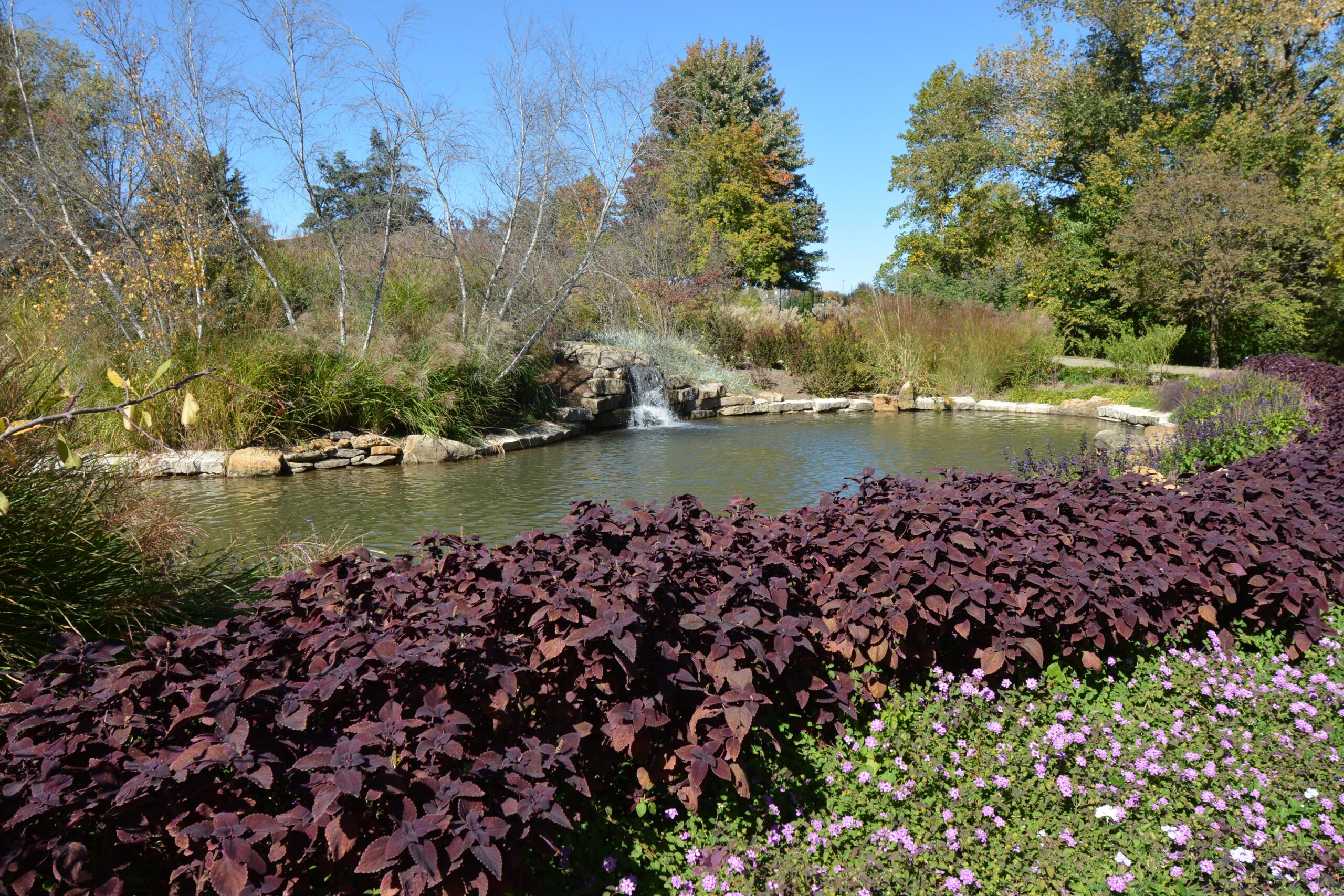 Stunning Large Pond Construction - Bulletproof Pond and Lake Stunning Large Pond Construction