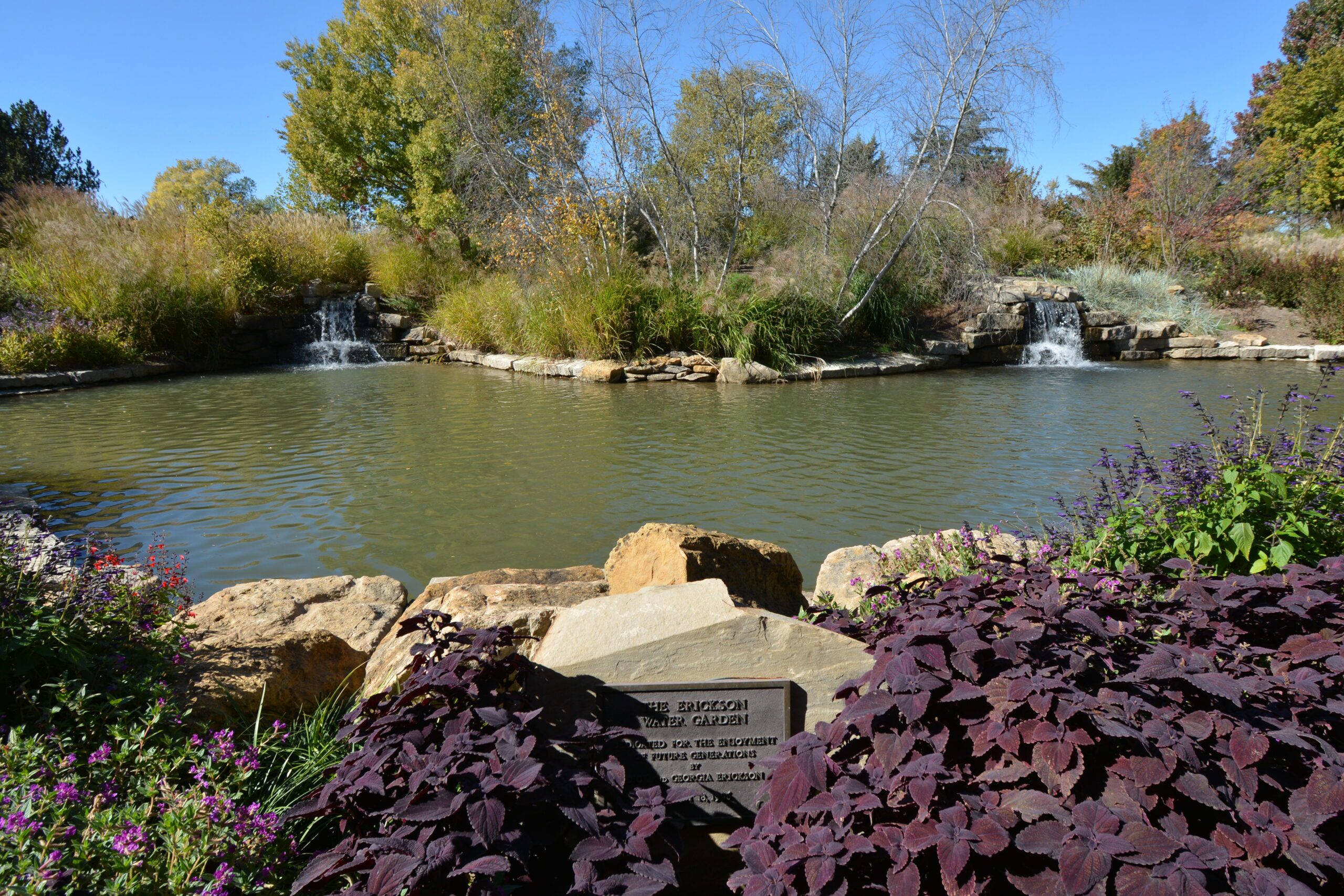 Large Pond Construction
