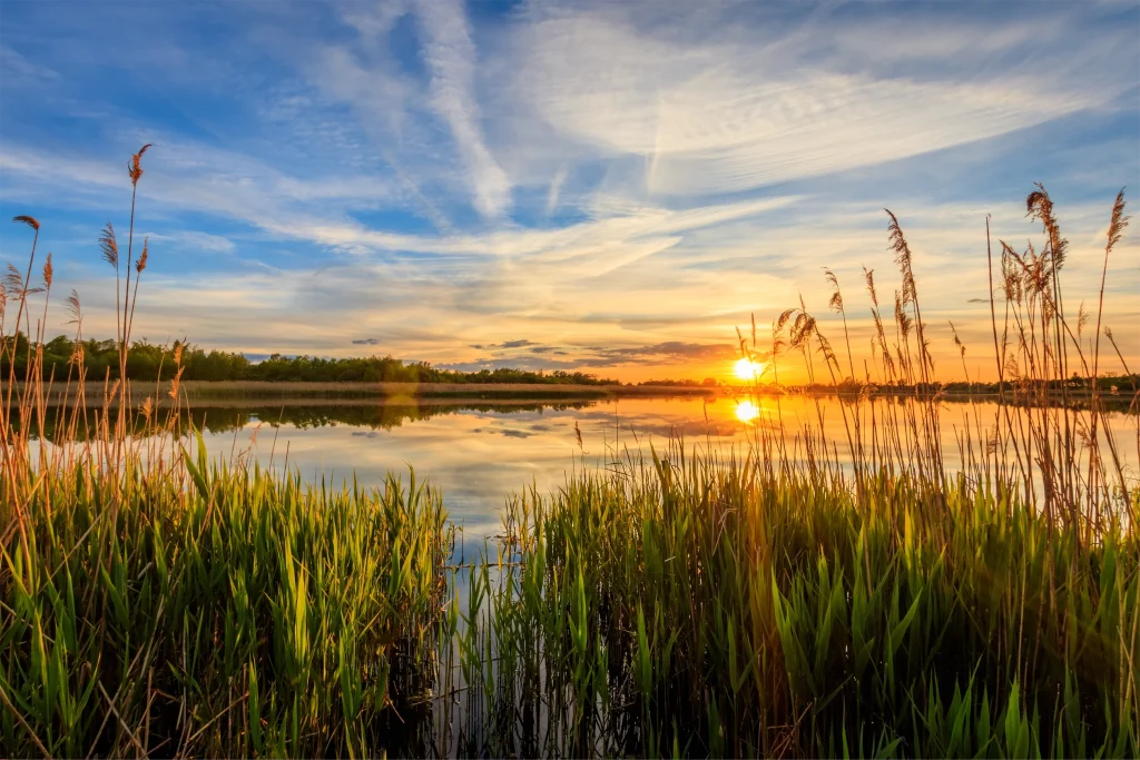 Beautiful Sunset Over A Custom Pond And Lake Installation