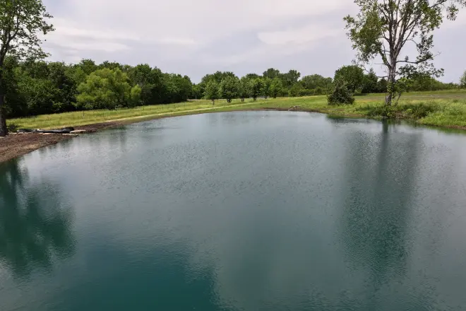 A pond after it has filled with water
