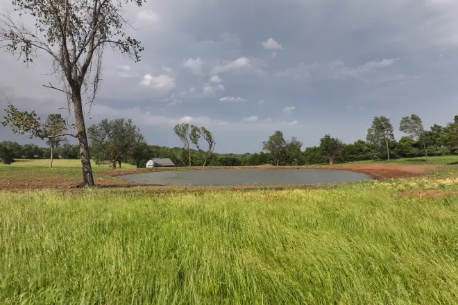 Grass is just one of many farm pond landscaping ideas