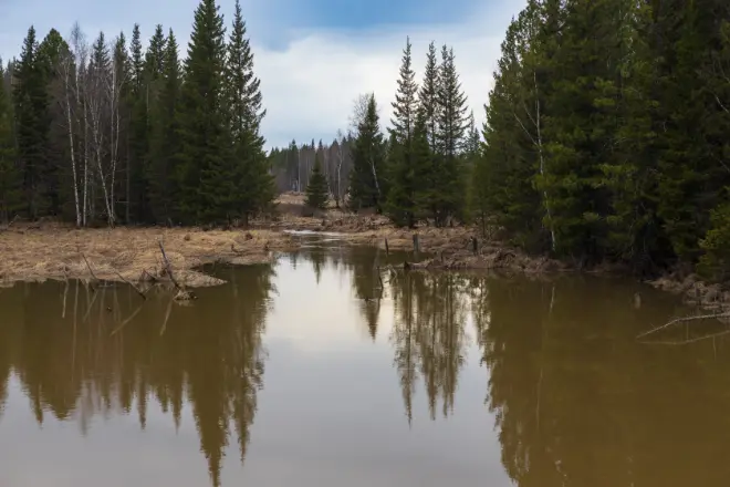 Brown water in a pond - The answer to the question how long does it take for a new pond to settle depends on the situation
