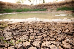 a leaking pond with dry mud in the foreground