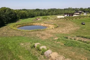 A pond that is well maintained