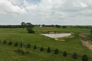 A pond constructed by Bulletproof Pond and Lake - what is a swale