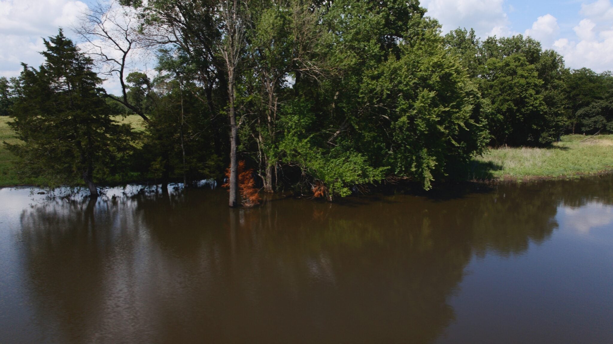Flooded Timber within Missouri Lake Designed and Constructed by Bulletproof Pond and Lake