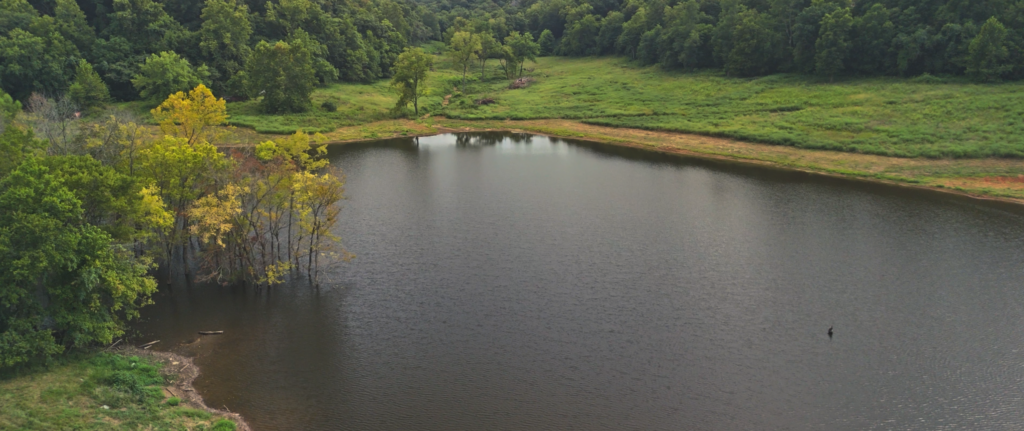 Flooded Timber within Arkansas Trophy Fishing Lake Designed and Constructed by Bulletproof Pond and Lake - Bulletproof Pond and Lake Flooded Timber within Arkansas Trophy Fishing Lake Designed and Constructed by Bulletproof Pond and Lake